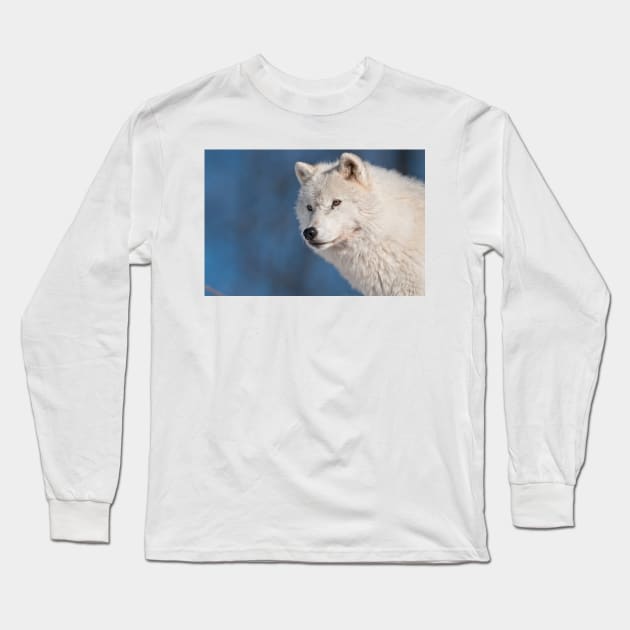 Arctic Wolf Long Sleeve T-Shirt by jaydee1400